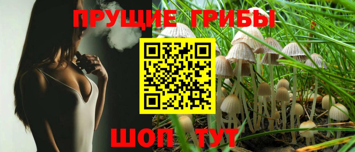 Псилоцибиновые грибы Psilocybe  Псилоцибиновые грибы прущие грибы  Королёв  Вход с VPN 